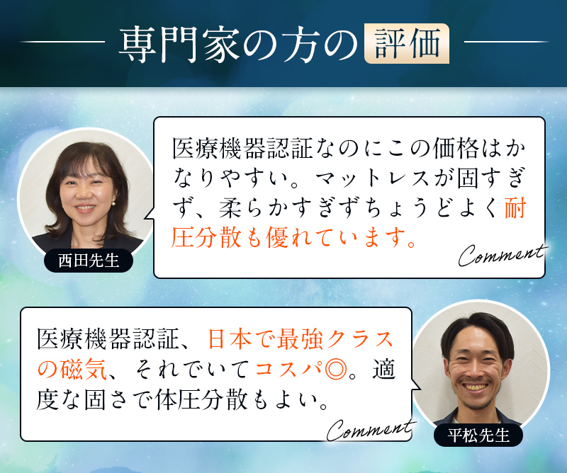 専門家の方の評価|西田先生,平松先生|コメント