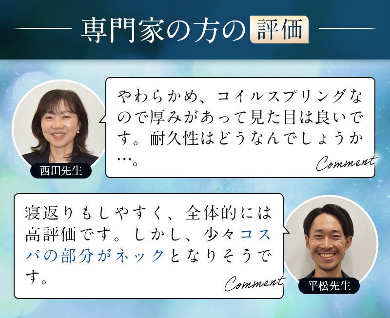 専門家の方の評価|西田先生,平松先生|コメント
