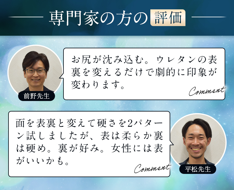 専門家の方の評価|前野先生,平松先生|コメント